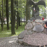 michal300