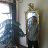 DoNPeDrO1
