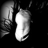 gothique1982