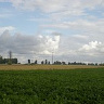 zenek1