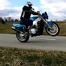 kazik4093