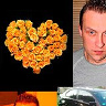 kociPsychollog