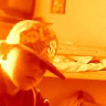 matisek1234567890