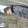 Kreestian
