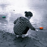 oli956