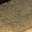 ALI15555