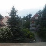 adas199