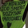 Domminikaa