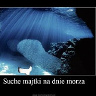 SucheMajtkiNaDnie