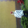 Rafix