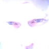 zdeGustowanyDEgust