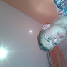 petita12