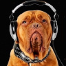 djhunter