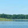 skandik525