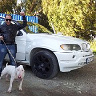 allberto