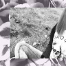 PrincesSNators