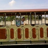 adamjaniszewski74
