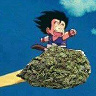 buddahaze