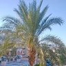 Michal1007