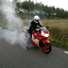 MotylemJestem7