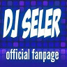 DJSELER
