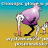 MaxKolanko