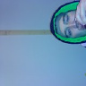 Shandy95