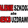 dominikbrzozowski