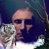 Jarek33