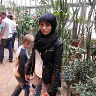 nesiaa12