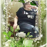 lvica46