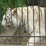 mariusz8226