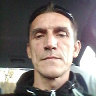 koliber43