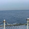 Tajemniczy1216