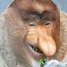 JanuszNosacz1
