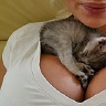 lazycrazy