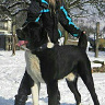 marek19xxx