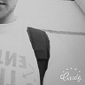Maaciiuss