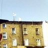 DanielWolak