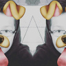 StefanowiczS
