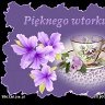 pawelek55