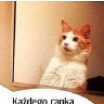 PiwnyLudek