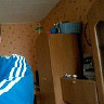 lukaszek289
