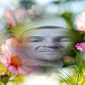 LukaszBulisnko