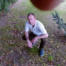 klasik1