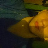 michal25848