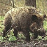 JakubGrudzinski