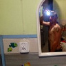 kamil140521