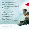 NaciaPlazik