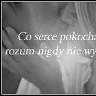 Tomek19980506